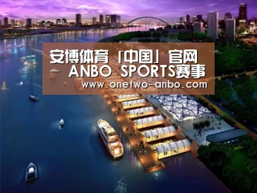 案例展示八