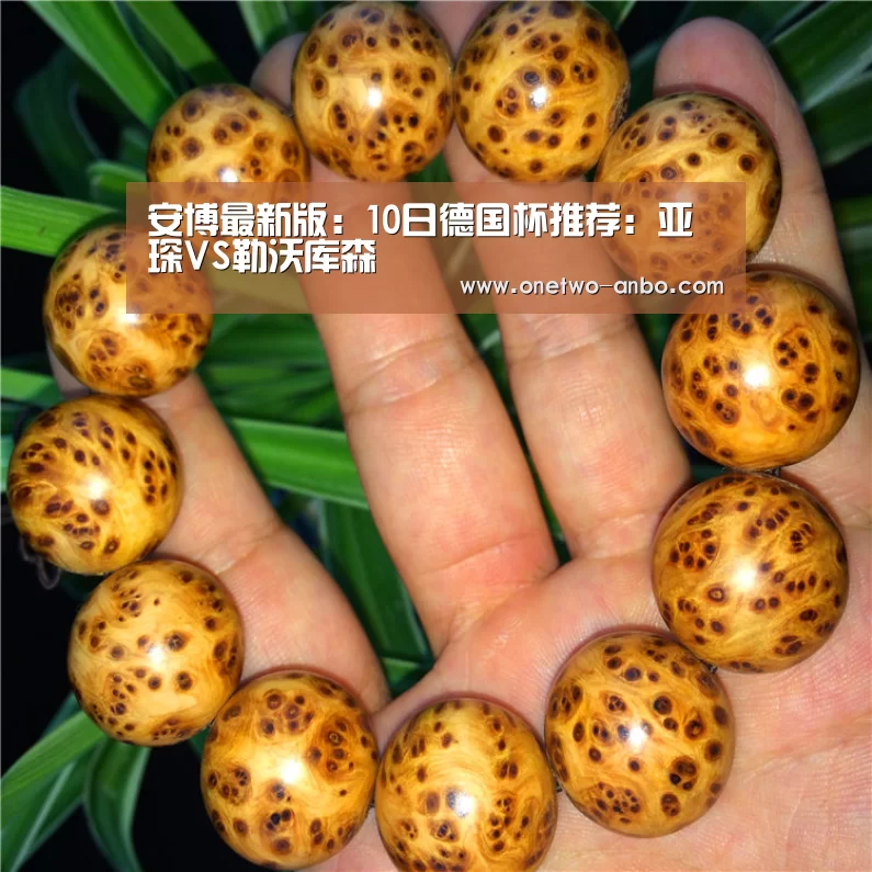 安博最新版