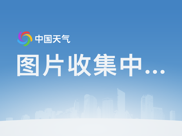 安博官方网站